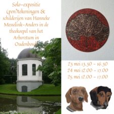 Bekijk dit evenement Expositie pentekeningen en schilderijen van 