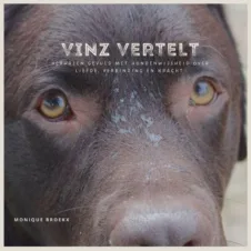 Bekijk deze Boekenkaft van boek Vinz vertelt van Monique Broekx