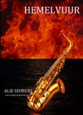 Bekijk deze Boekenkaft van boek Hemelvuur van Alie Seubers