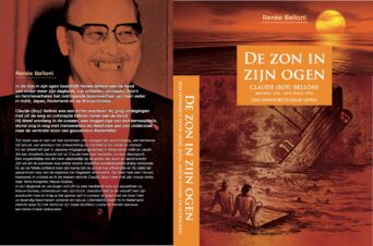 Bekijk deze Boekenkaft van boek De zon in zijn ogen van Renée Belloni