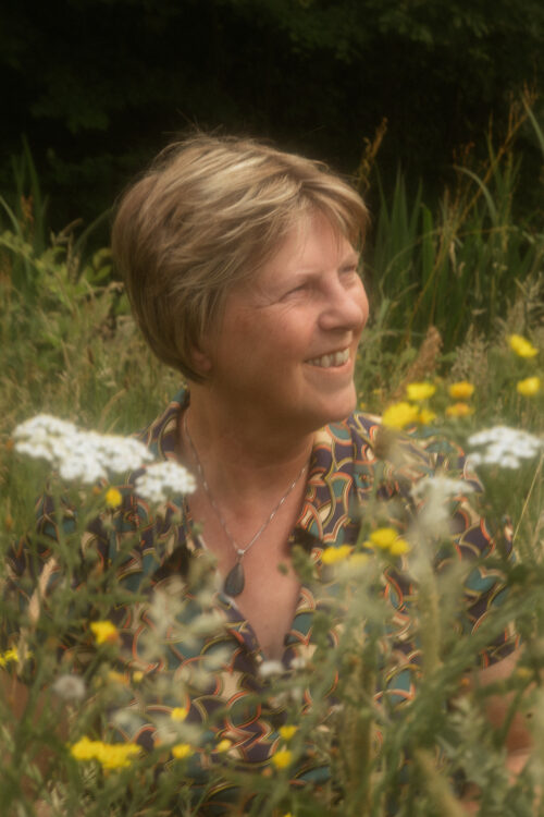 Bekijk deze Boekenkaft van boek Het Magische Schatkist Avontuur van Anneke Davids