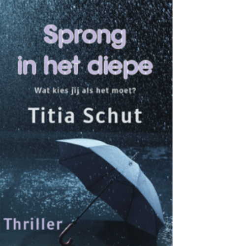 Bekijk deze Boekenkaft van Sprong in het diepe van Titia Schut