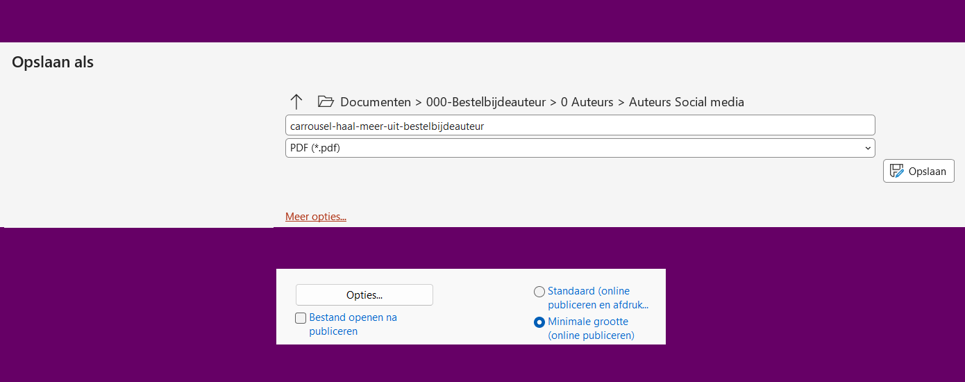 pdf voor online publicatie minimale grootte